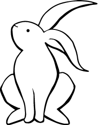 rabbit5