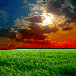 Sunset - GIF-256_t